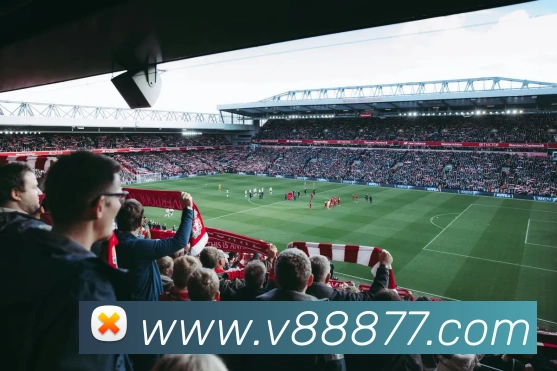 vsport官网入口APP 封面图